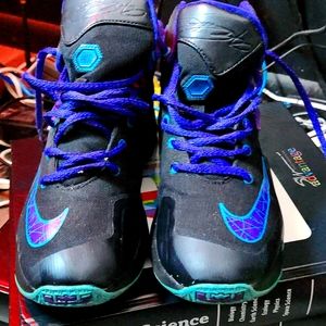 Boys Nike LeBron James sneakers sz 5 eur 36